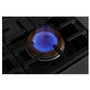 Café 48-Inch Freestanding Dual-Fuel Range With 6 Burners And Griddle - C2Y486P3TD1