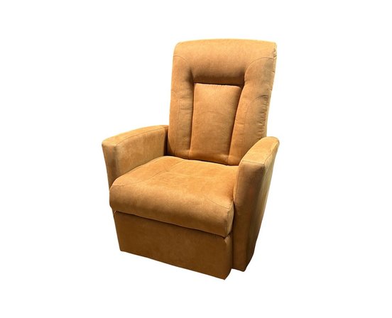 ELRAN Swivel and Recliner Rocking Chair