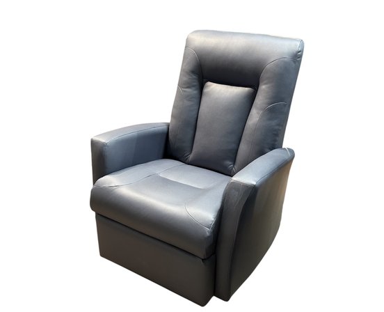 ELRAN Swivel and Recliner Rocking Chair