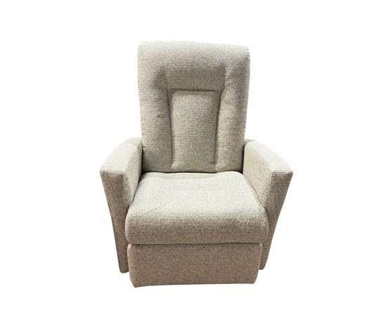 ELRAN Swivel and Recliner Rocking Chair