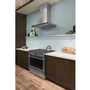 Electrolux 36-Inch Dual-Fuel Freestanding Range - ECFD3668AS