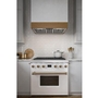 Best 36-Inch Hbn3 Series Hood Insert - HBN33696SS