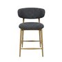 LH Import counter stool
