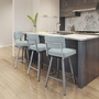Phoebe Pub Height Stool by Amisco