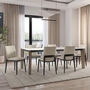 Charlotte Dining Chair by Amisco