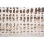 Rugs Rectangle by Renwil