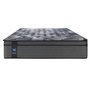 Sealy Allissandra Soft Mattress Queen Size