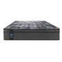 Sealy Fiero Medium-Firm Mattress, 54-inch Double Bed