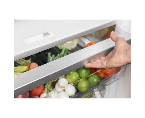 Thermador 24-Inch Built-In All Refrigerator - T24IR905SP