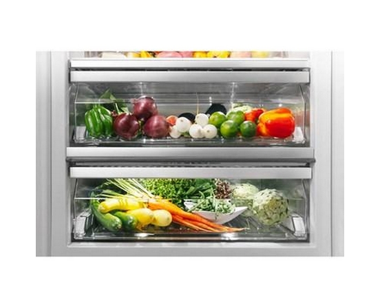 Thermador 24-Inch Built-In All Refrigerator - T24IR905SP