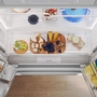 Thermador 36-Inch, 20.4 Cu. Ft. Freestanding French 4-Door Refrigerator With Wi-Fi - T36FL810NS