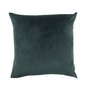 Cushion