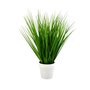 Decorative greenery
