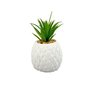 Decorative greenery