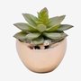Decorative greenery