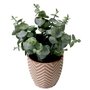 Decorative greenery