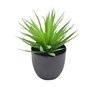 Decorative greenery