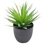 Decorative greenery