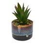 Decorative greenery