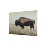 Brutus Wall Art by Ashley - A8000289