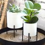 Pot cover