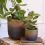 Pot cover