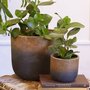 Pot cover