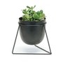 Pot cover