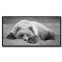 Canvas Art