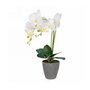 Decorative greenery