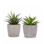 Decorative greenery