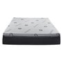 Moho Accent Pedic Mattress Full Size 54 in.