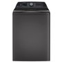 GE Profile 5.4 Cu. Ft. Top Loading Washer With Flexdispense™ - PTW700BPTDG