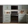 Whirlpool 30-Inch, 1.1 Cu. Ft. Over-The-Range Microwave Oven - YWMMF5930PV