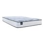 Aveline Sealy Mattress Medium Twin Size