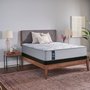 Julien mattress firm twin XL 39 inch by Sealy