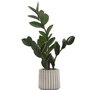 Accent Design decorative plant - MR I-9500