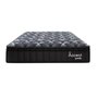 Alessa Soft Mattress Queen Size Signature Collection Accent Pedic