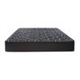 Zeno Firm Mattress Queen Size by Accent Pedic