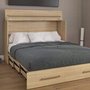 Cabinet murphy bed by Sua-v