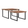 Jivin 2pc Coffee Table Set in Natural and Black