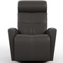 Power Rocking and Swivwl Reclining Armchair in leatherby Fjords-Small