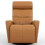 Power Rocking and Swivwl Reclining Armchair in leatherby Fjords-Small