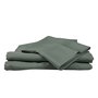Borealy Double Size Sheet Set by Accent Pedic