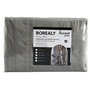 Borealy Queen Size Sheet Set by Accent Pedic