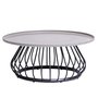 Diva Coffee Table