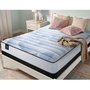 Aveline Sealy Mattress Medium Queen Size