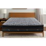 Ambre Semi-Firm Mattress King Size by Accent Pedic