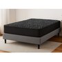 Zeno Firm Mattress Twin Size by Accent Pedic