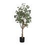 Decorative Plant Accent Design